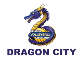 Junior Dragon City Tournament