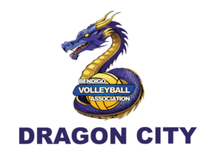 Junior Dragon City Tournament Teams