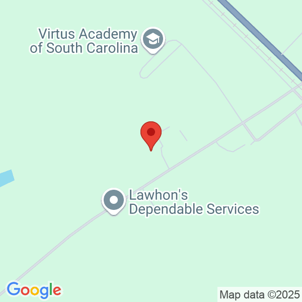 Virtus Academy